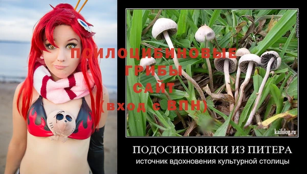 прущие грибы Алексеевка