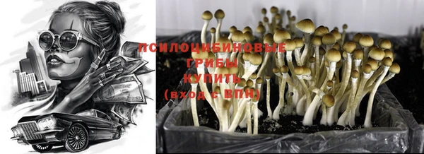 прущие грибы Алексеевка