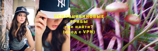 прущие грибы Алексеевка