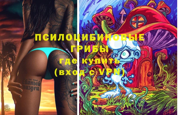 прущие грибы Алексеевка